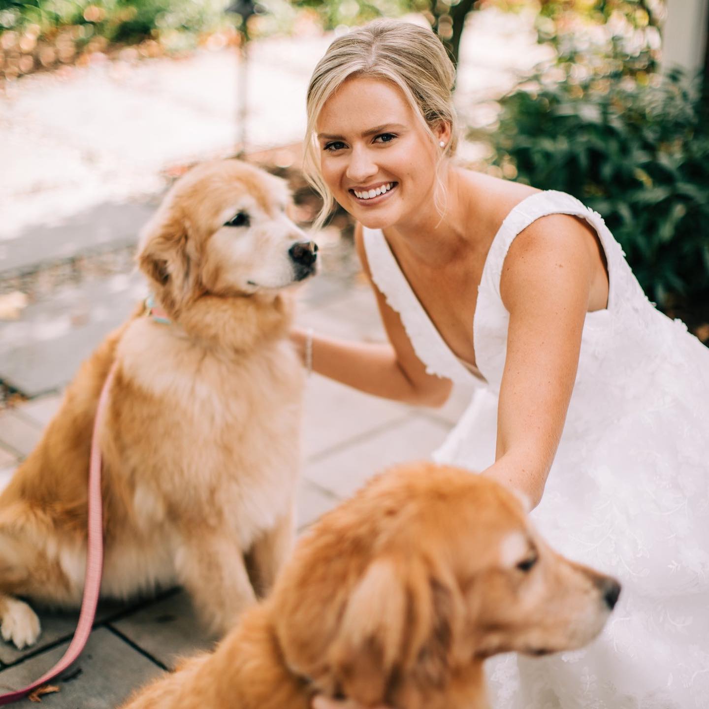 bridal makeup with dogs